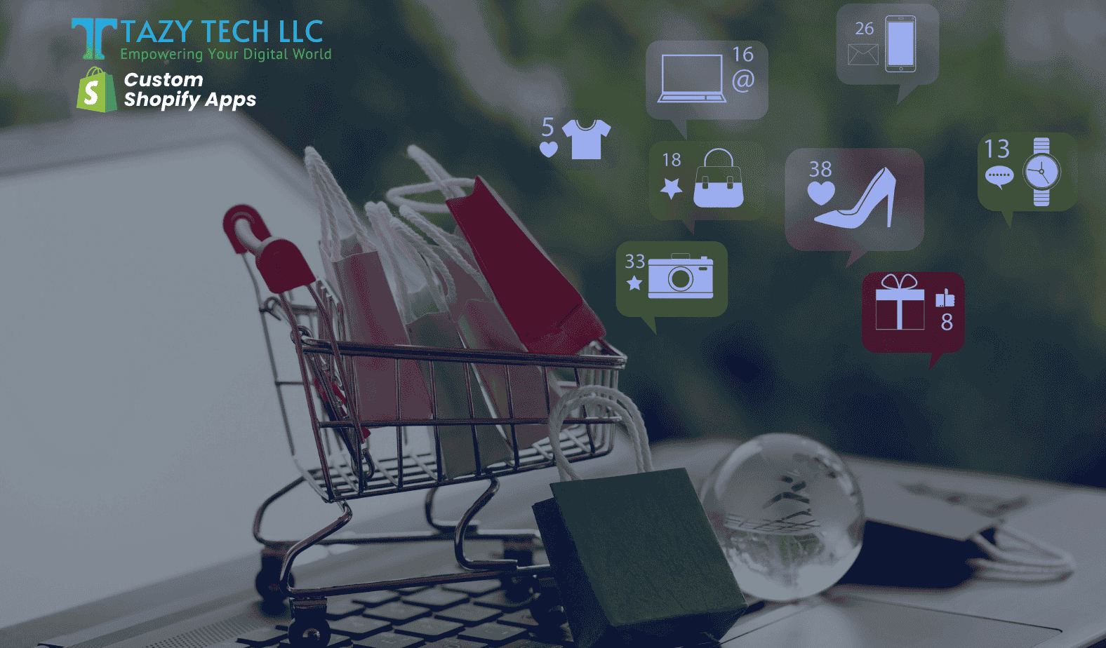 Custom Shopify Apps